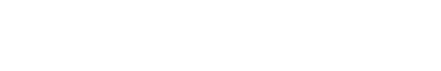 Vigilant Healthcare Solutions